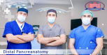 Distal Pancreatectomy