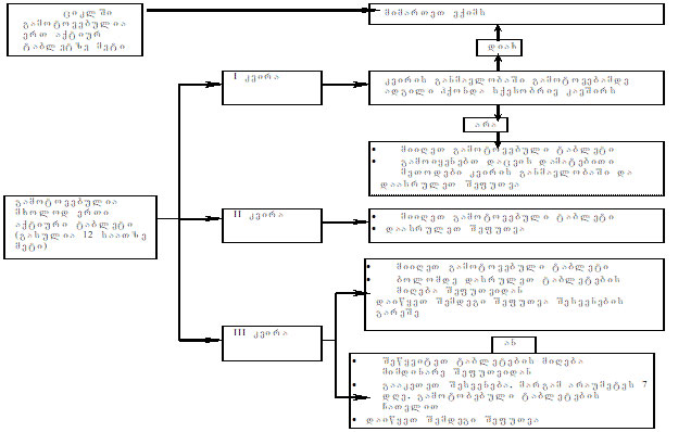 იარინა სქემა