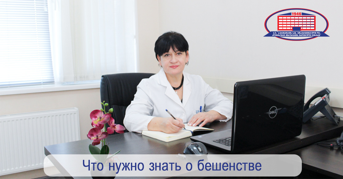 Что такое бешенство и почему опасны укусы или царапины домашних собак и кошек?