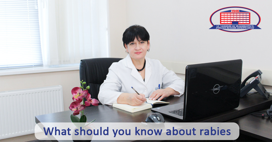 What is rabies and why are bites or scratches by family dog and cat dangerous?